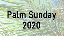 Palm Sunday Sermon Year A 2020. - YouTube