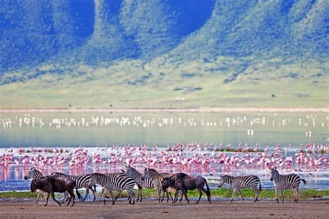 15 Top Rated Tourist Attractions In Tanzania Planetware
