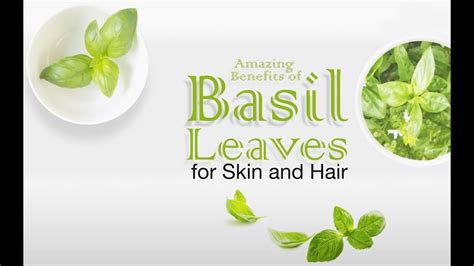 Basil For Hair And Skin Youtube