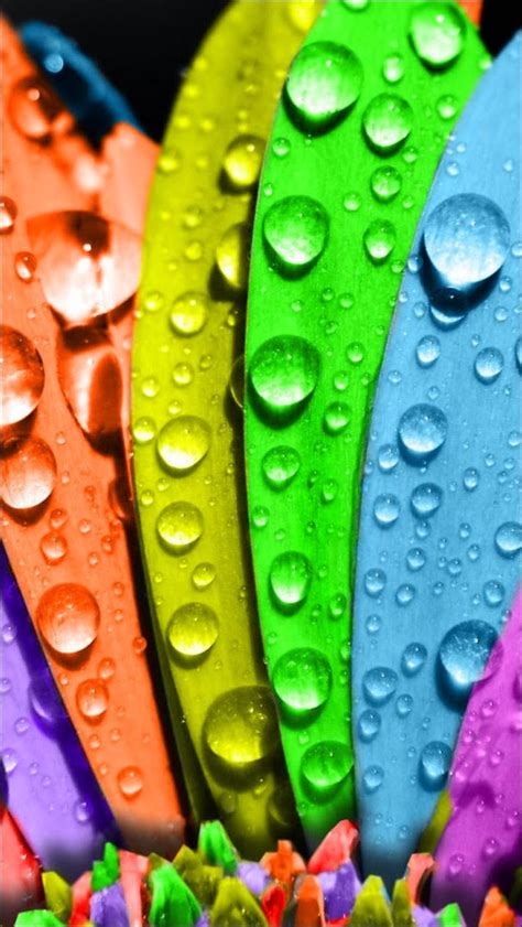 En esta extensa galeria encontrarás fondos hd de animales salvajes en resolución full hd 1920x1080p, algunos de los animales más destacados que vas a encontrar son caballos, osos pardos, tigres, leones, zorros, águilas, linces, osos panda, tortugas, leopardos, panteras, búhos, lobos, pumas, hipopótamos, lagartos, pájaros, koalas. Imagenes para Whatsapp - Line - BBM : Fondos para whatsapp