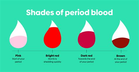 What Does The Color Of Period Blood Mean Vrogue Co