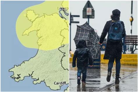 Flood Warnings Remain In Place For Much Of Wales As Heavy Rain Continues Wales Online
