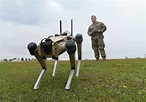 The Air Force is testing out robots as guard dogs | Popular Science
