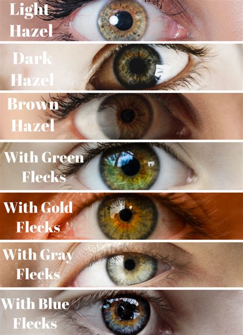 The Real Difference Between Amber Eyes And Hazel Eyes Hair Colour For