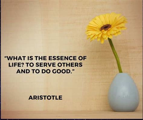 30 Famous Aristotle Quotes On Education Love And Life Legitng