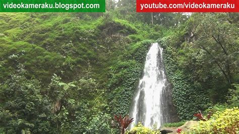 1 Hour Waterfall Sound Tropical Rainforest With Birds Sound Live