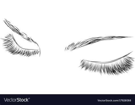 Closed Female Eyes Drawing Long Eyelashes Vector Image