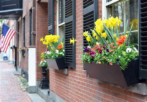 All of our window boxes are made from an architectural grade pvc material that is solid, paintable, and ships fully constructed through high end. 37 Gorgeous Window Flower Boxes (with Pictures)