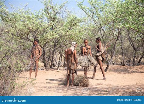 Group Of Bushmen In Botswana Editorial Stock Image Image Of Excursion Bonfire 52548434