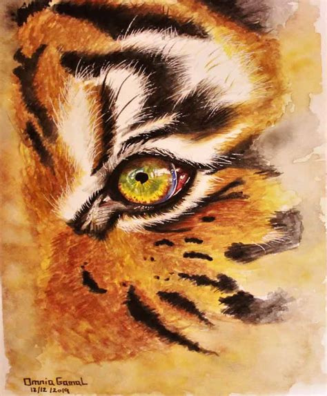 Tiger Watercolor Painting Watercolor Academy Art Competition Entry