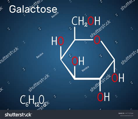 Galactose Alphadgalactopyranose Milk Sugar Molecule Cyclic Stock Vector