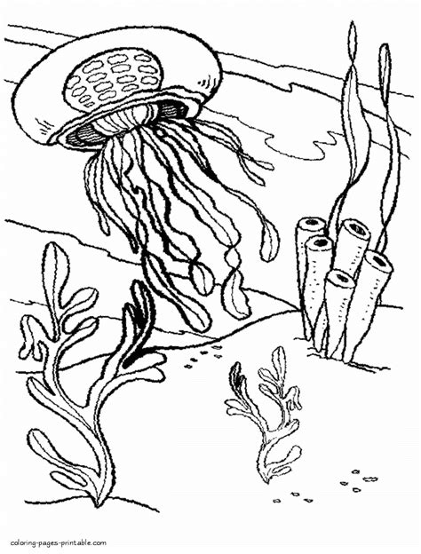 Printable Sea Animals Jellyfish Coloring Page Coloring Pages