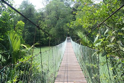 Similajau National Park Bintulu All You Need To Know Before You Go