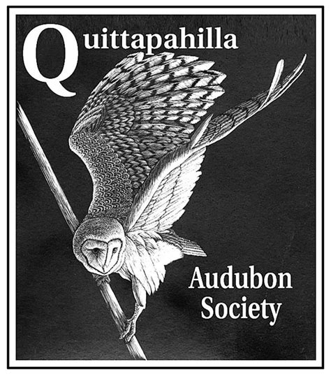 Quittapahilla Audubon Society Audubon Society Society Audubon