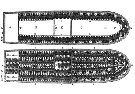 Slave Ship Diagram Smithsonian Ocean
