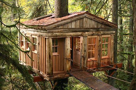 Forever Young The 18 Greatest Tree Houses For Adults