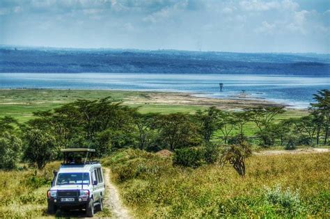 Tripadvisor Private Tagestour Zum Lake Nakuru Nationalpark Von