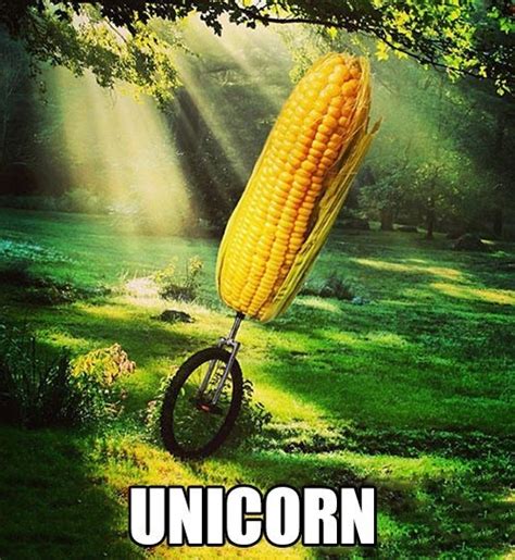 Funny Unicorn Memes Image Memes At