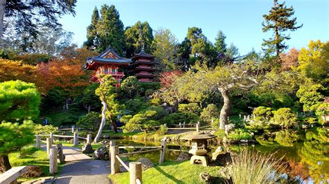 Why Explore San Franciscos Japanese Tea Garden Road Trip And Travel