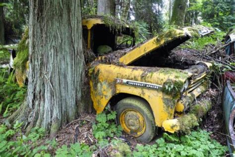 A Forest Burial Place For Abandoned Cars 30 Pics