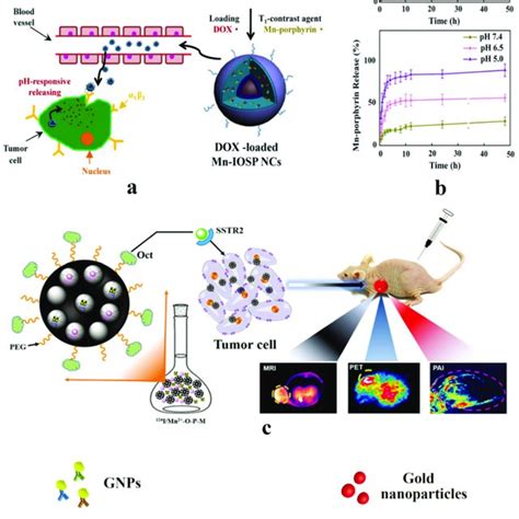 Nanoparticles For Lung Cancer Biomarker Detection Download
