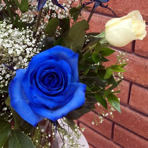 Ecuadorian Long Stem Blue And White Roses Vase In San Diego Ca House