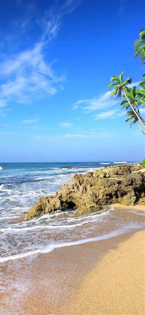 Download 1125x2436 Wallpaper Beach Sea Waves Tropical Beach Palm