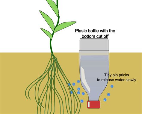 Drip Irrigation Bottles World Agriculture