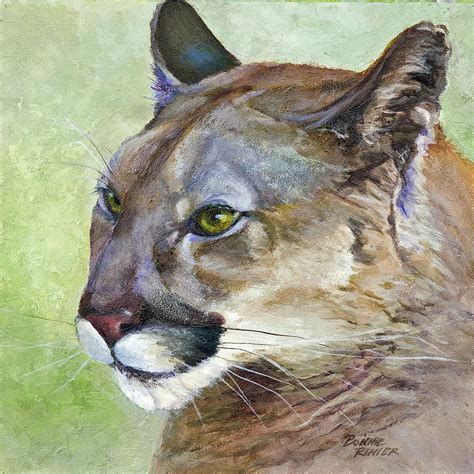 Cougar Painting By Bonnie Rinier Fine Art America