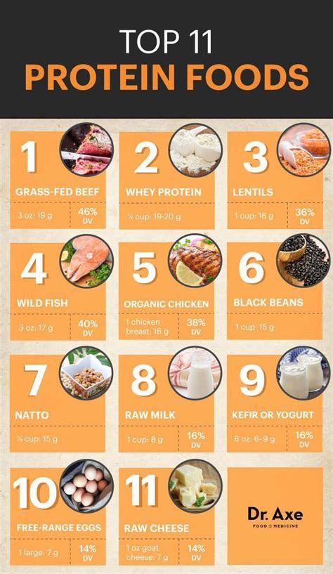 High Protein Foods The Facts About High Protein Food And What You