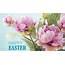 Happy Easter ECard  Free Cards Online