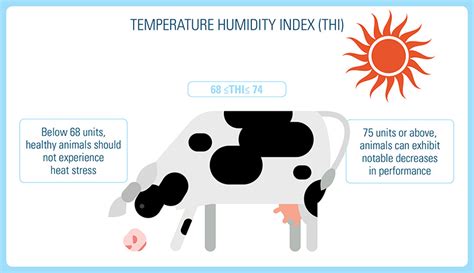 Heat Stress In Dairy Cows