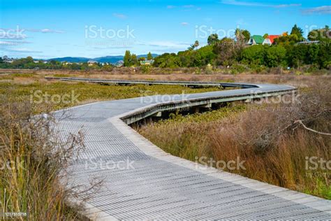 Wooden Walkway Through Wetlands Stock Photo Download Image Now Bay