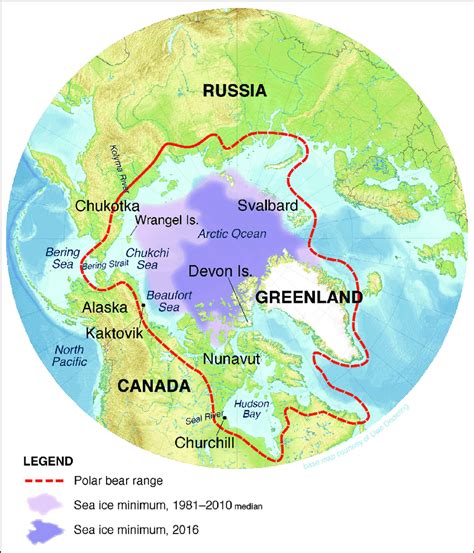 The Circumpolar Arctic Showing The Present Day Range Of Polar Bears