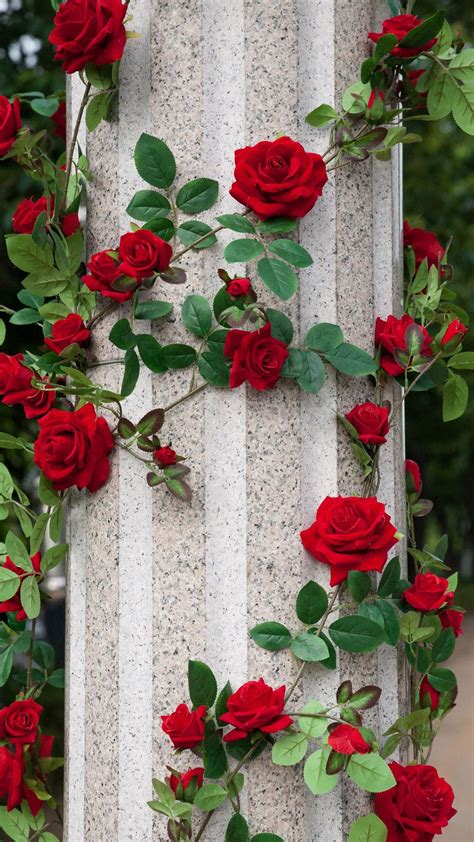 Download Wallpaper 938x1668 Roses Column Decoration