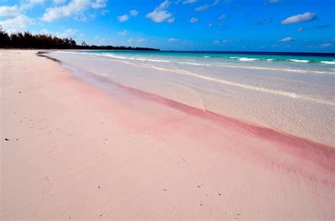 Pin By Kheather On Ocean Beautiful Beach Pictures Pink Sand Beach
