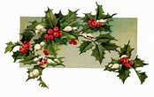 The Graphics Monarch: Free Digital Christmas Holly Design Element ...