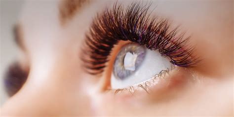 Eyelash Treatment - Wind in the Willows Spa