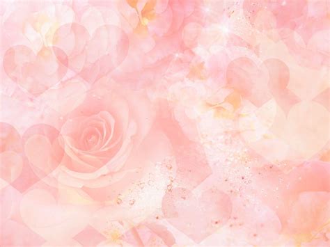 Light Pink Flower Wallpapers Top Những Hình Ảnh Đẹp