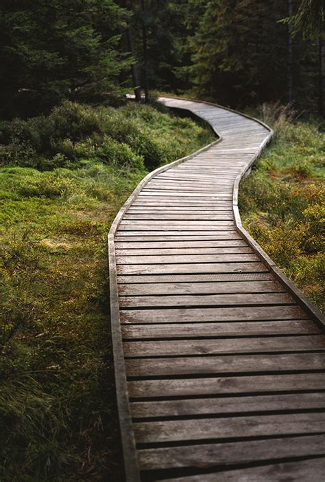 Wooden Walkway In Moorland Minimalist Photgraphy Prints Martin Vorel