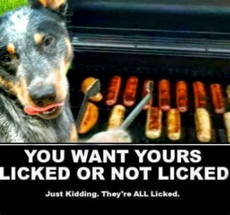 If It Were My Heeler There Wouldn T Be Anything On That Grill Ok Maybe Vegetables Would Be