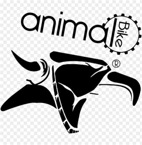 Animal Bmx Logo Decal Ubicaciondepersonascdmxgobmx