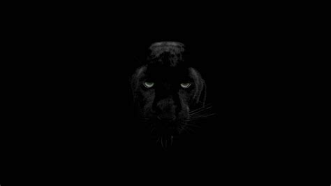 Download Black Panther Animal Dark Wallpaper
