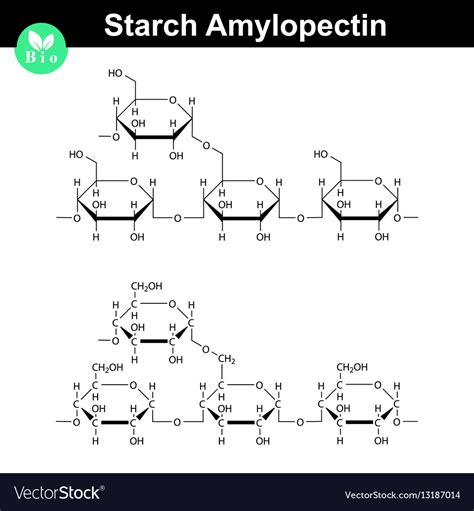 Amylopectin Polymer Molecular Structure Royalty Free Vector
