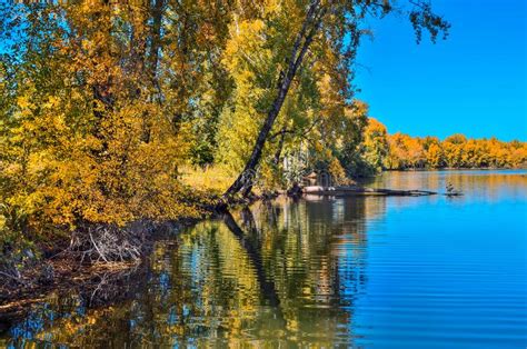 Golden Autumn On Lakeside Picturesque Fall Landscape Near Lake Stock