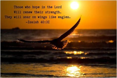 A Bird Flying Over The Ocean At Sunset With A Bible Verse Written In