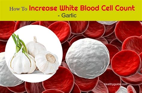 20 Tips How To Increase White Blood Cell Count In Babies And Adults Quickly