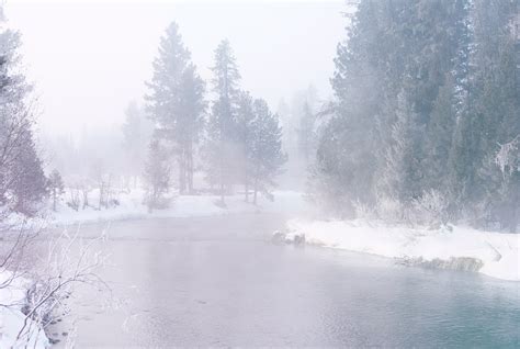 Wallpaper Winter Snow Mist Water Morning Forest Trees Spruce