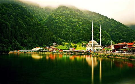 Forest Hills Lake Landscape Mist Mosque Nature Trabzon Turkey