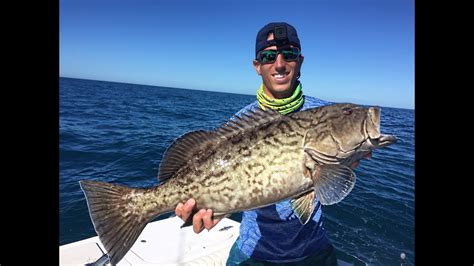 Crazy Florida Offshore Fishing Grouper Snapper Amberjacks Youtube